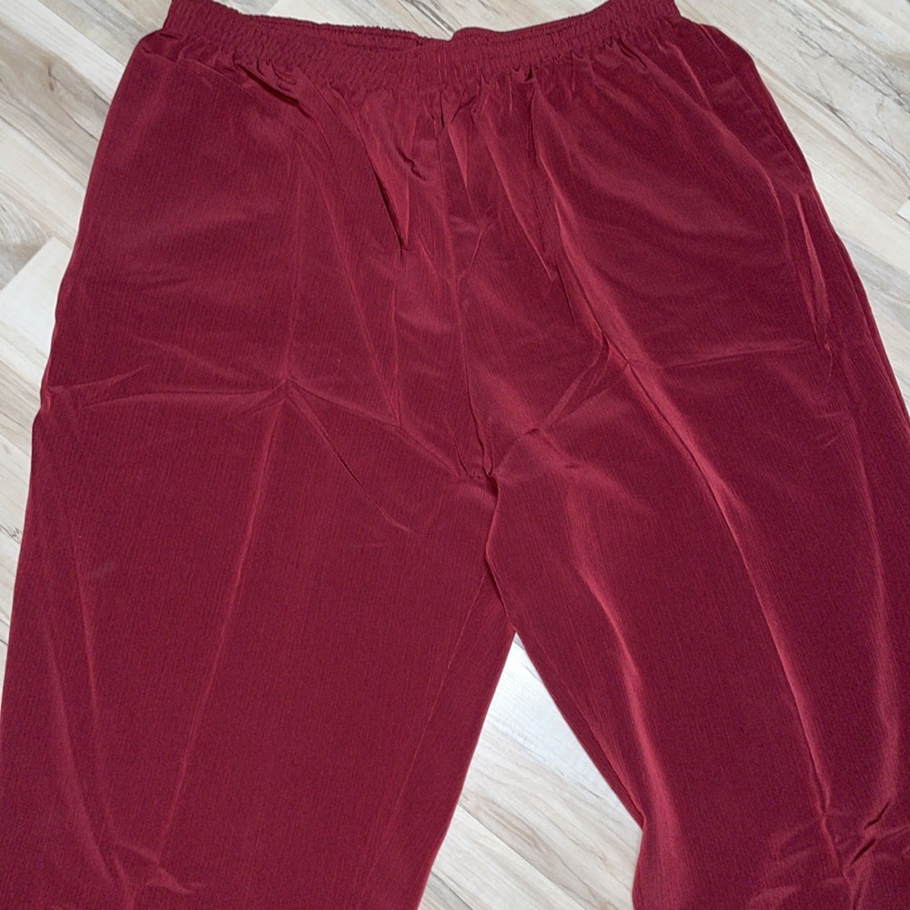 Maggie Sweet pants size 2X